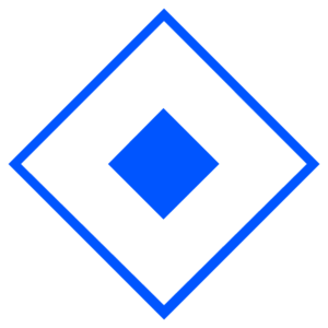 Logo Waves officiel Nokenchain